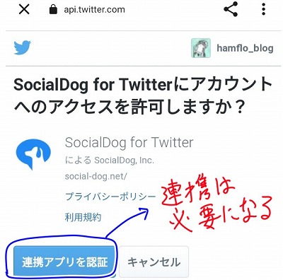 「socialdog」を始めるまで